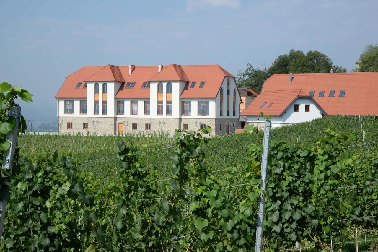 Weingut Taggenbrunn Hotel Sankt Veit an der Glan Exterior photo