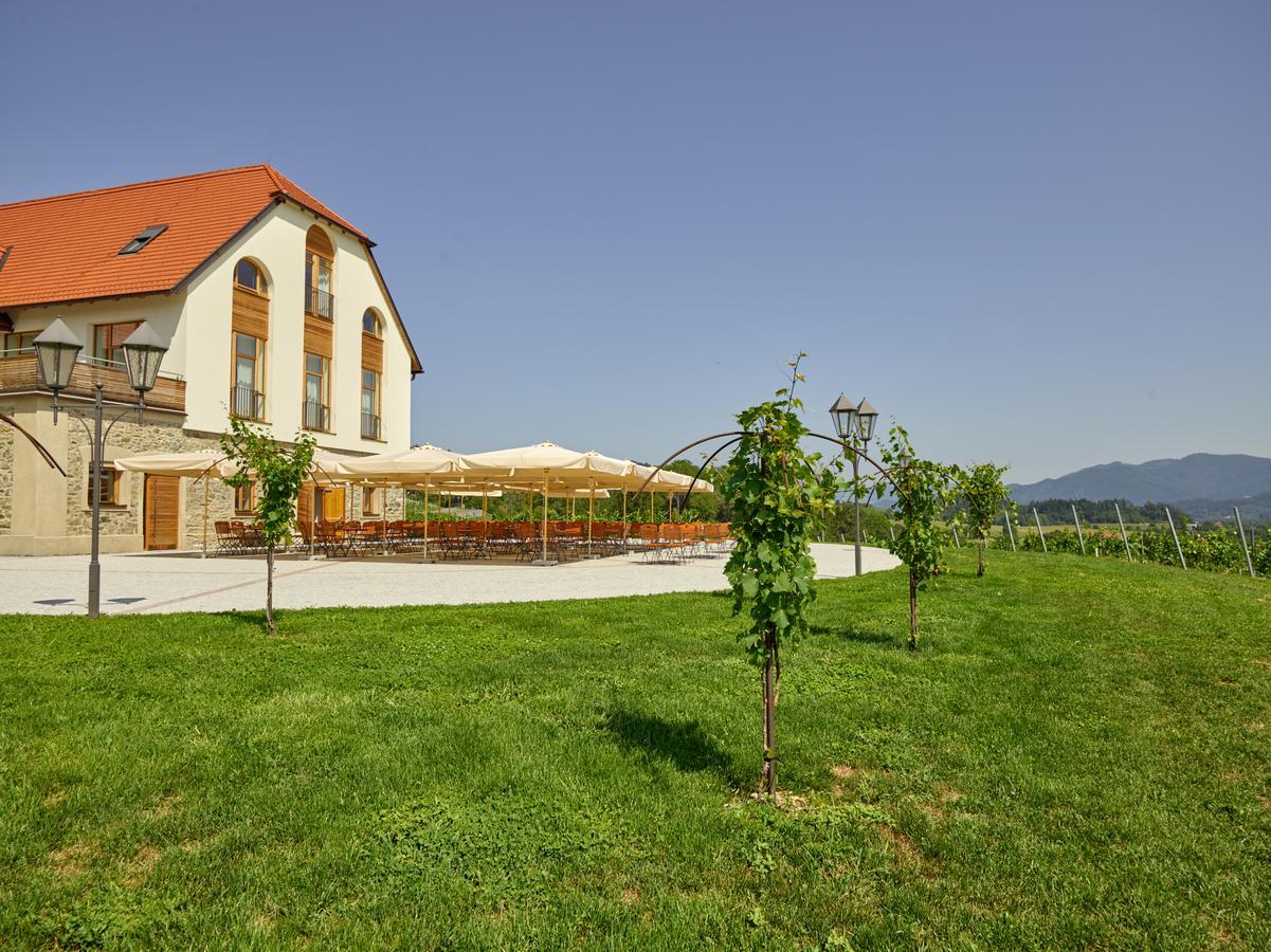 Weingut Taggenbrunn Hotel Sankt Veit an der Glan Exterior photo