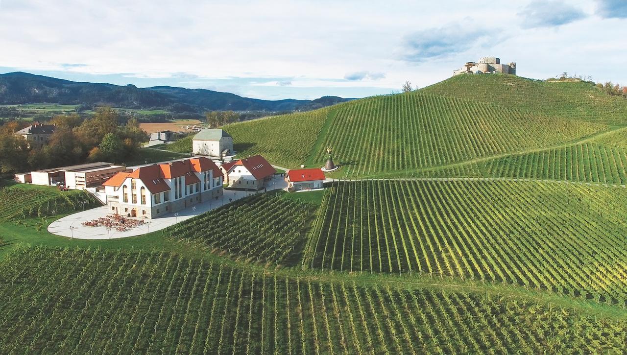 Weingut Taggenbrunn Hotel Sankt Veit an der Glan Exterior photo